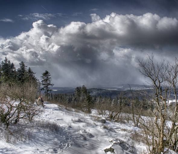 Menschen auf einer Bank auf dem Großen Feldberg blicken auf den Taunus