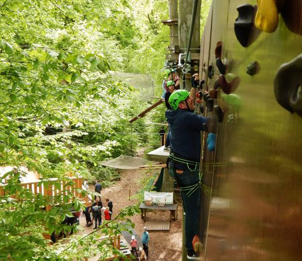 Kletterwald Taunus: For climbing enthusiasts - TaunusTagungshotel