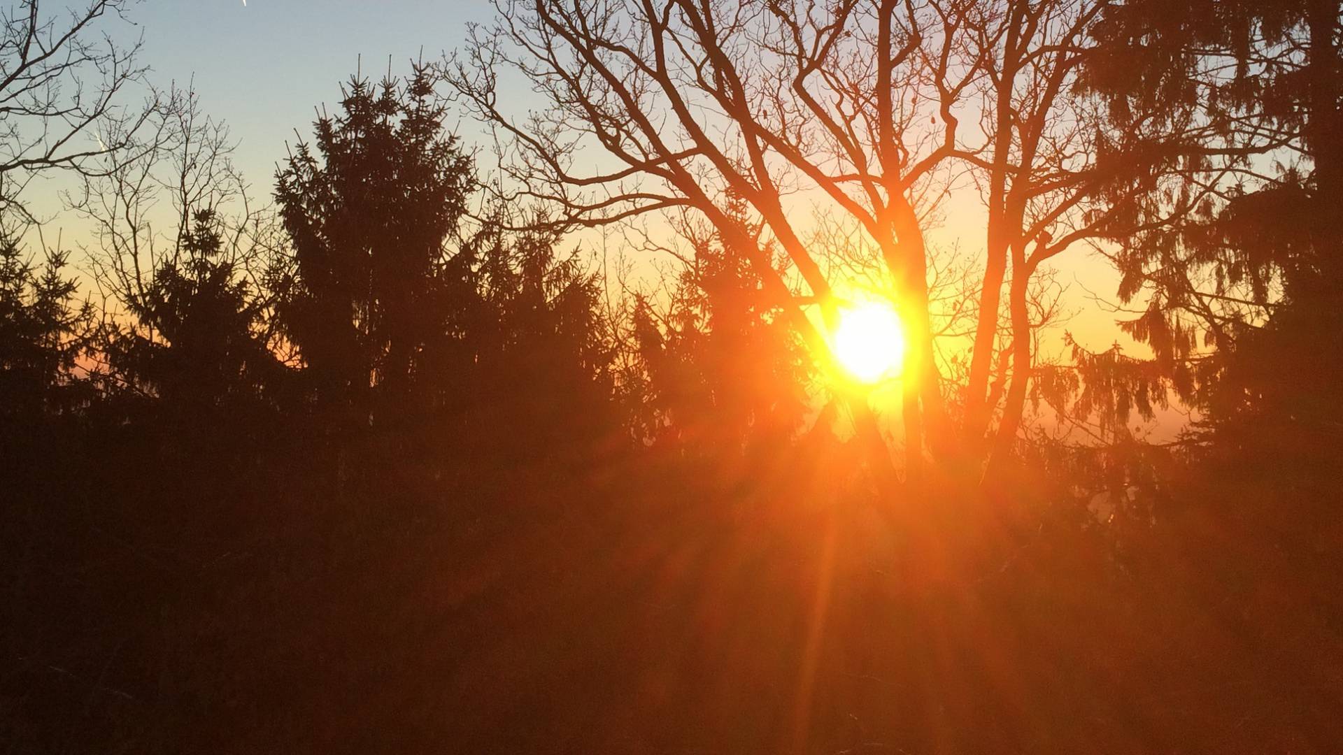 Sonnenaufgang im Taunus über Wald